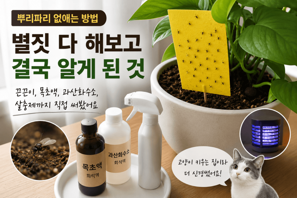 뿌리파리 없애는 법